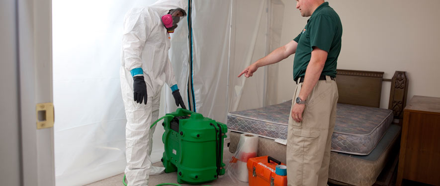 Edwards, CO mold removal process