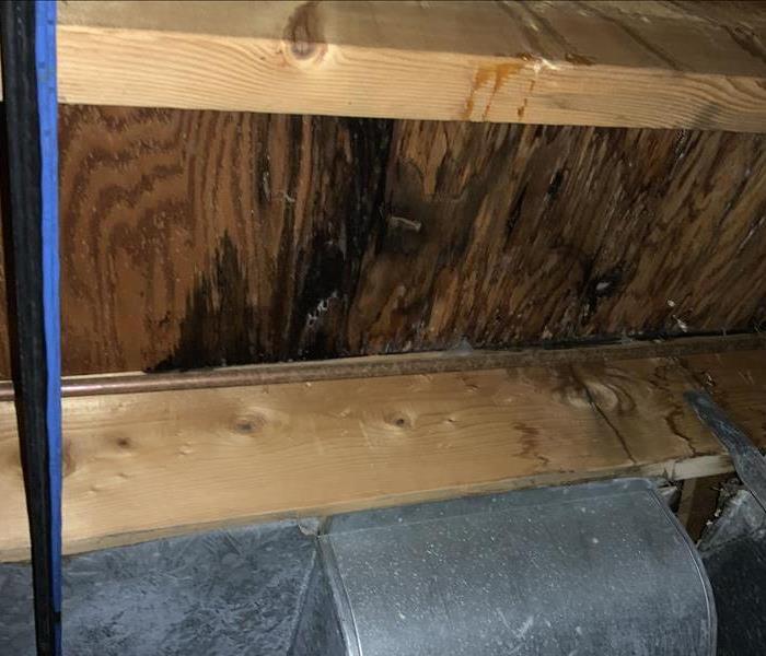 Moldy wood under a crawl space.