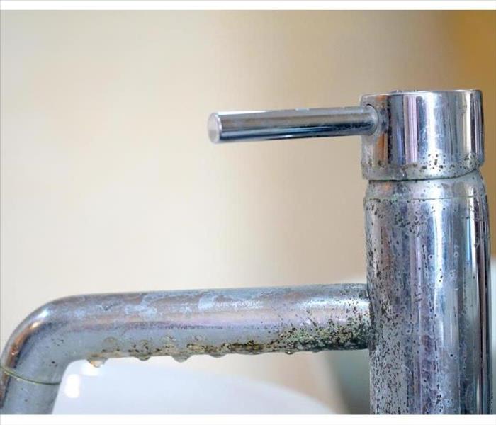 Old faucet (water tap) over sink in the bathroom. Dirt Bacteria. Hard water stain of soap and mold. 