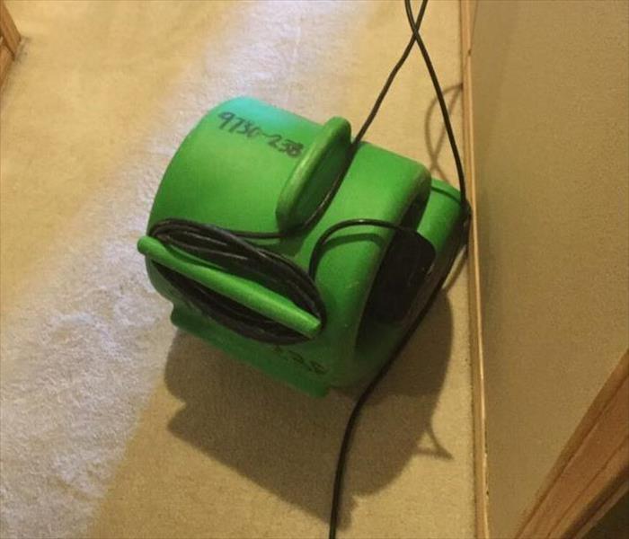 air mover on carpet in allway