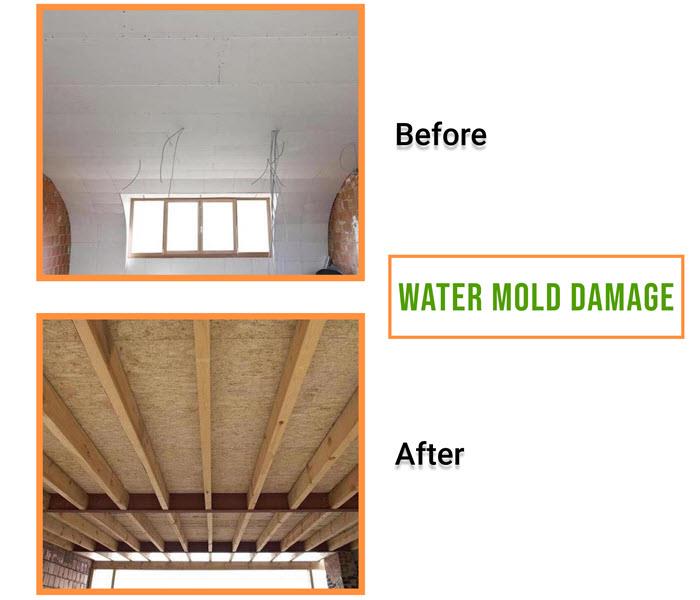before and after image of water damage of ceiling in graphic titled water mold damage 